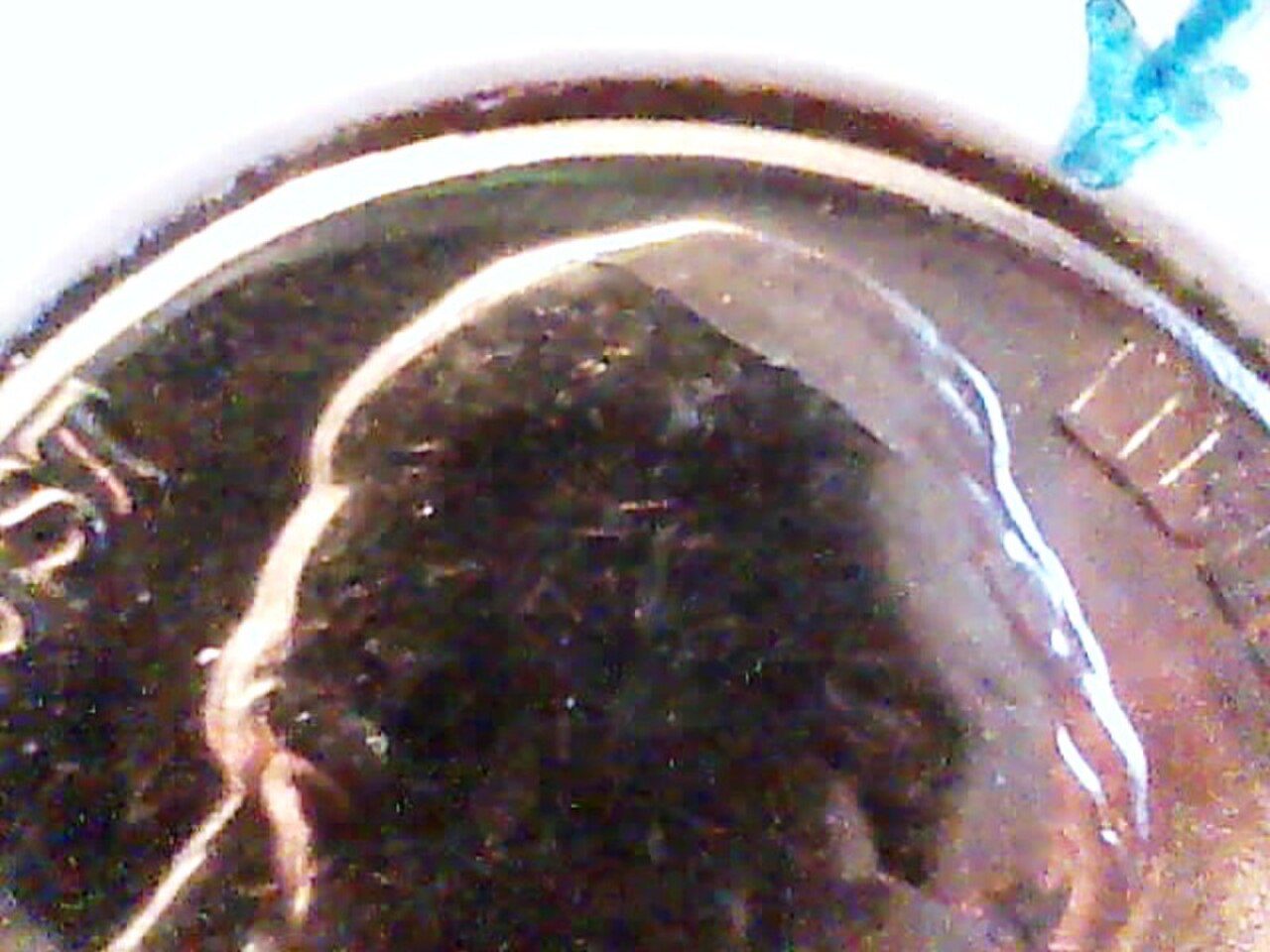 1954-S Jefferson nickel with a raised die crack across the design